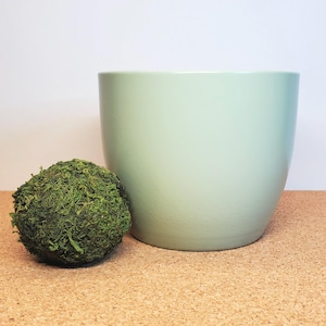 May include: A light green ceramic planter pot with a smooth, rounded shape. The pot is sitting on a cork surface next to a ball of green moss.