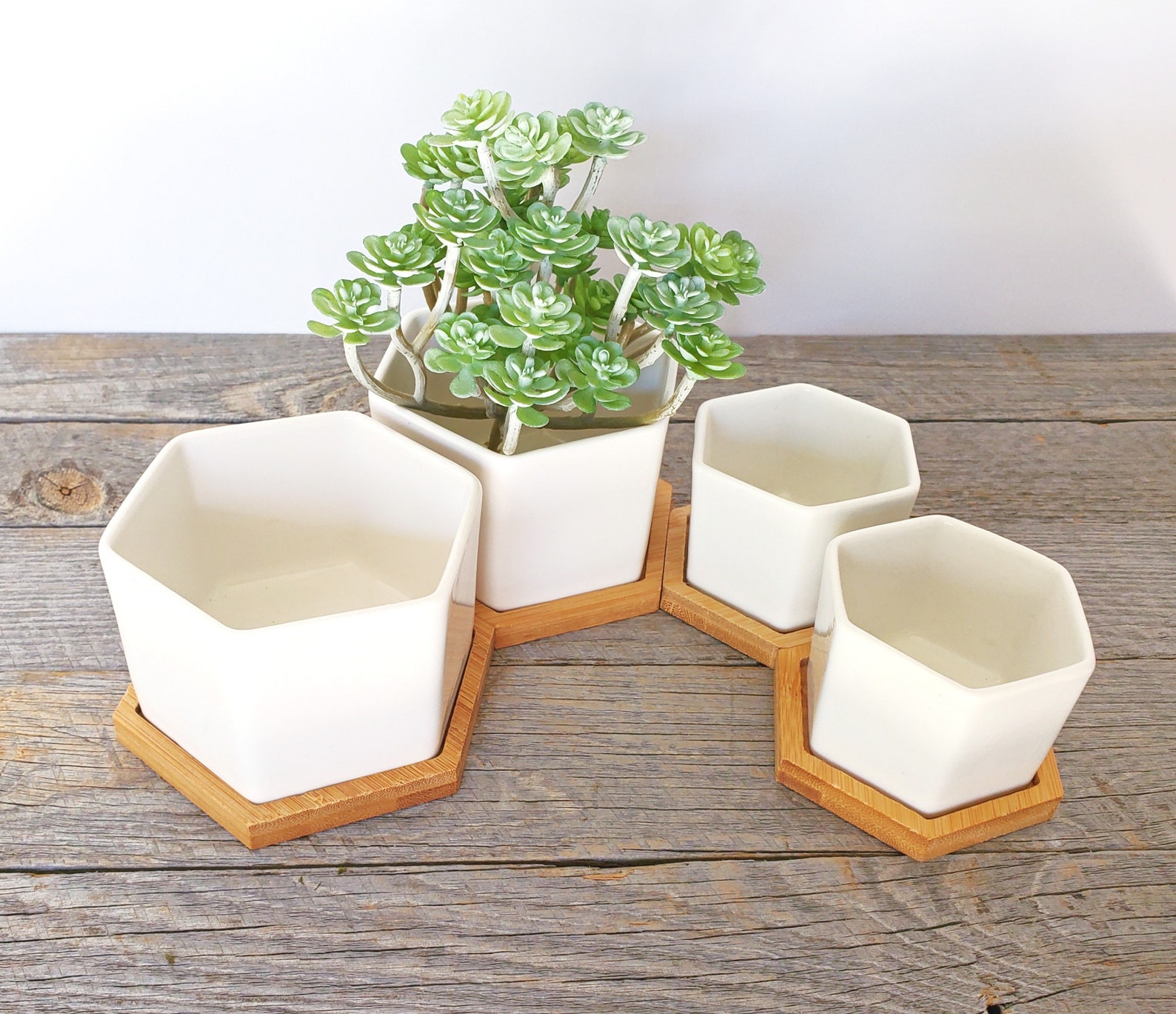 Set of 3 White Ceramic Hexagonal Planters | Small Succulent Pots With ...