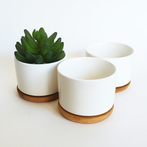 Small White Ceramic Succulent Pots Set of 3 | 3.1" Wide Round Planters