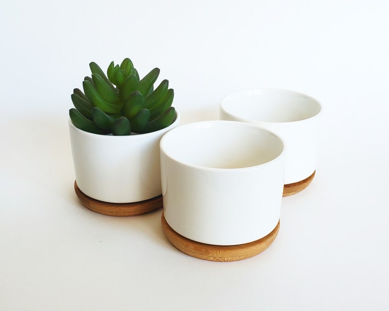 Small White Ceramic Succulent Pots Set of 3 | 3.1" Wide Round Planters ...