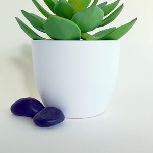 May include: A white ceramic pot with a green succulent plant. Two dark purple stones are placed in front of the pot. The pot has a rounded shape and a smooth surface. The succulent has thick, green leaves.