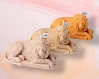 Stampo in Silicone Cactus Leopardato per Deodoranti Auto, Sapone