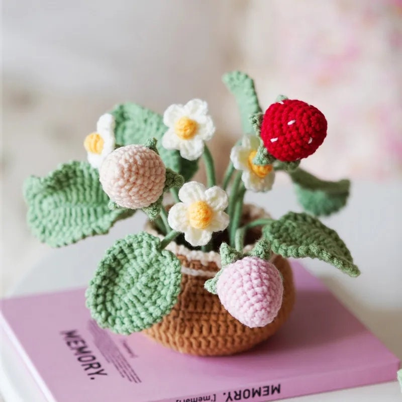 PEUTIER DIY Crochet Kit, Cute Daisy Crochet Flower Crochet Beginner Crochet  Kit Crochet Supplies for Adults and Kids Craft Making