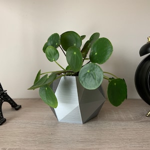 May include: A green plant with round leaves in a grey geometric planter. The planter is on a light wood surface with a black Eiffel Tower replica and a black alarm clock with gold accents to the right.