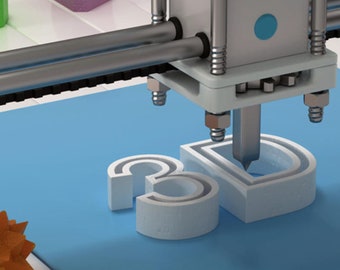 Custom 3D Print
