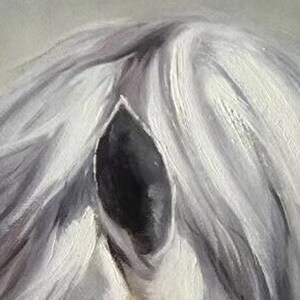 Op de afbeelding: Een close-up van de manen van een wit paard, met een donker, schaduwrijk gebied in het midden. De manen zijn lang en vloeiend, met een zachte, textuur.