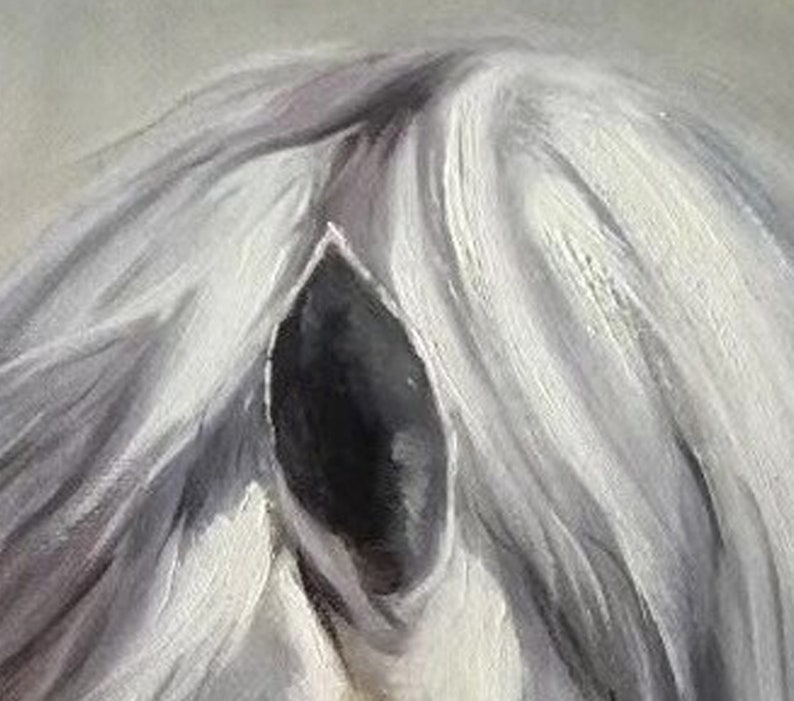 Op de afbeelding: Een close-up van de manen van een wit paard, met een donker, schaduwrijk gebied in het midden. De manen zijn lang en vloeiend, met een zachte, textuur.