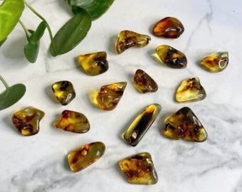 Baltic Amber Tumbled Stones: Fossilized Resin for Meditation & Chakra