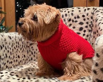 Aran Jumper for Small and Medium Dogs 