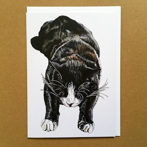 Carte chat, carte de voeux chat, carte d'anniversaire chat, carte beaux-arts, carte chat noir et blanc, carte chat smoking, carte intérieure vierge, carte artistique