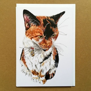 Cat Card, Cat Greeting Card, Cat Birthday Card, Fine Art Card, Card For Cat Lovers, Blank Inside Card, Calico Cat Card, Tortoise Shell Cat