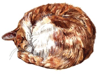 Ginger Cat Watercolor Greeting Card