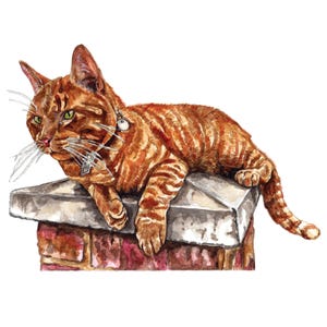 Ginger Cat Card, Cat Greeting Card, Cat Birthday Card, Watercolour Greeting Card, Card For Cat Lovers, Ginger Cat Card, Art Card, Ginger Cat