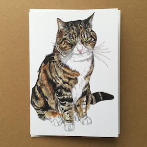 Carte de chat tigré, carte de voeux de chat, carte d'art de chat tigré, carte de chat joufflu, carte vierge de chat à l'intérieur, carte d'anniversaire de chat tigré, cartes de chat, carte d'art