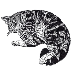 Cat Card, Cat Greeting Card, Cat Birthday Card, Fine Art Card, Cat Drawing Card, Card For Cat Lovers, Blank Inside Card, Art Card