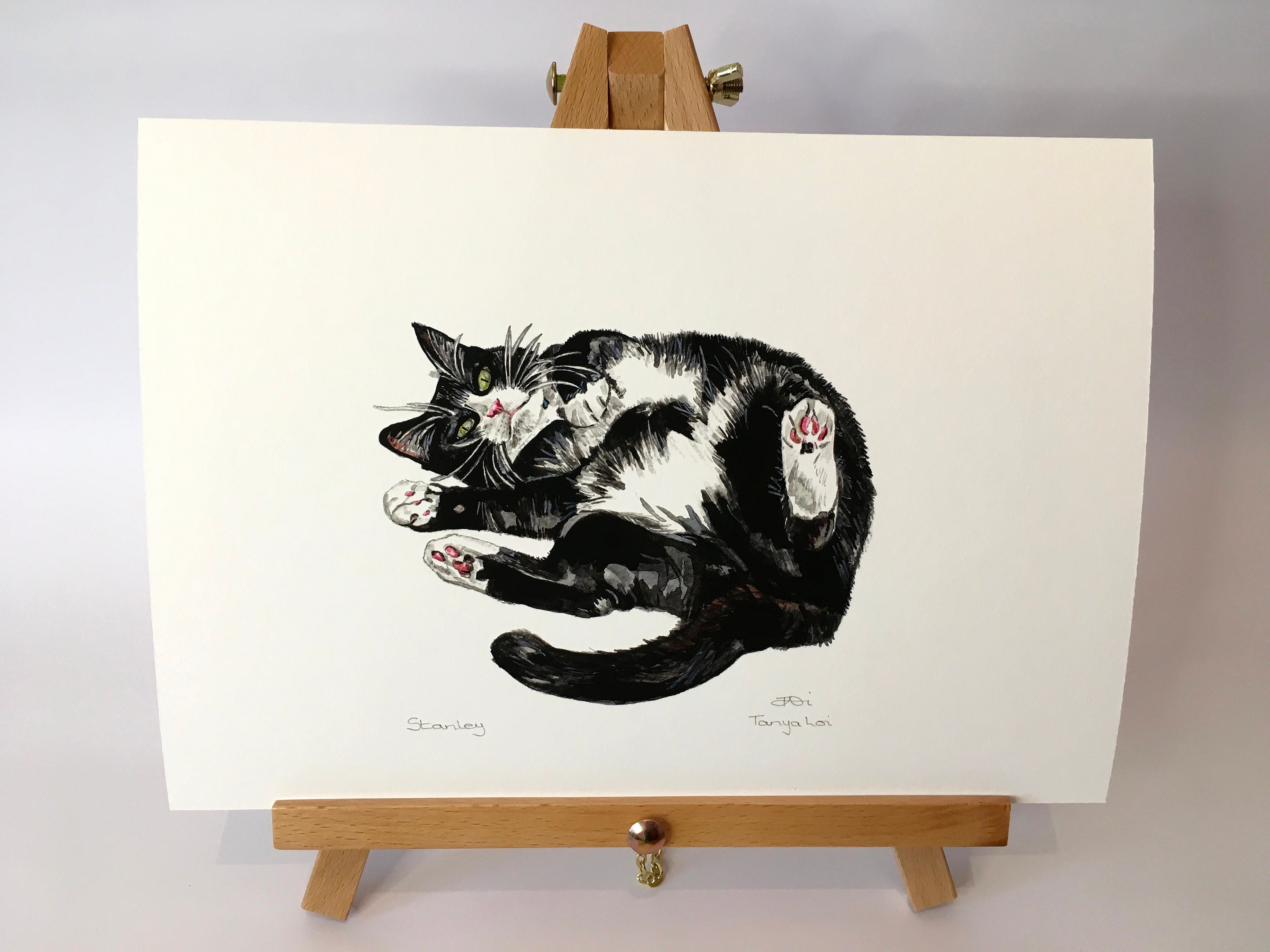 Cat Fine Art Giclee Print Fine Art Print Cat Portrait Print Etsy