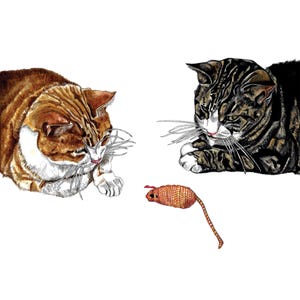 Cartão de gato, Cartão de felicitações de gato, Cartão de gato em branco, Cartão de aniversário de gato, Cartão para amantes de gatos, Cartão de gato Reino Unido, Cartão interno em branco, Cartão de arte, Cartão de belas artes