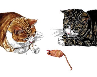 Ginger And Tabby Cat Greeting Card, Blank Inside