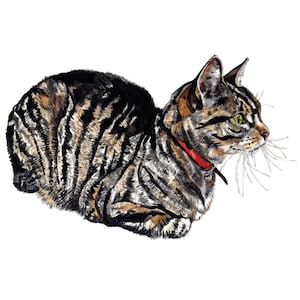 Biglietto di auguri per gatti, biglietto di auguri per gatti, biglietto di compleanno per gatti, biglietto di auguri per gatti soriani, biglietto di auguri con acquerello, biglietto per amanti dei gatti, biglietto con interno vuoto, biglietto d'arte