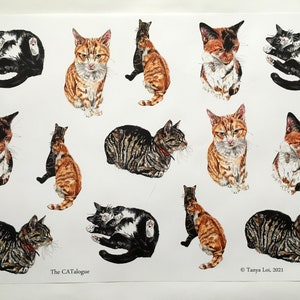 Cat Wrapping Paper 1 sheet (A2), Gift Wrap, Recyclable Gift Wrap, Cat Wrapping Paper, Birthday Cat Gift Wrap, Cat Portrait Gift Wrap