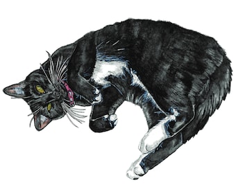 Tuxedo Cat Card, Blank Inside Greeting Card