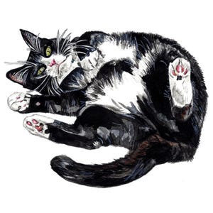 Carte chat, carte de voeux chat, carte d'anniversaire chat, carte beaux-arts, carte chat noir et blanc, carte pour les amoureux des chats, carte intérieure vierge, chat smoking