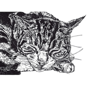 Cat Card, Cat Greeting Card, Cat Birthday Card, Fine Art Card, Art Card, Card For Cat Lovers, Blank Inside Card, Tabby Cat Card, Cat Drawing