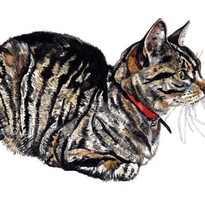 Carte chat, Carte de voeux chat, Carte d'anniversaire de chat, Carte de chat tigré, Carte de voeux aquarelle, Carte pour les amoureux des chats, Carte intérieure vierge, Carte d'art