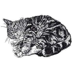 Carte chat, Carte de voeux chat, Carte d'anniversaire chat, Carte dessinée à la main, Carte pour les amoureux des chats, Carte intérieure vierge, Carte d'art, Impression chat, Portrait de chat