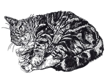 猫のグリーティングカード（中は空白）