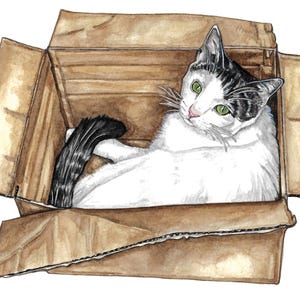 Carte chat, carte de voeux chat blanc, carte chat blanc, carte pour les amoureux des chats, carte intérieure vierge, carte d'anniversaire chat blanc, oeuvre d'art de chat, carte chat dans une boîte