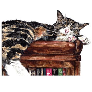 Cat Card, Cat Greeting Card, Cat Birthday Card, Cats And Books Card, Greeting Card, Card For Cat Lovers, Blank Inside Card, Art Cards, Cats