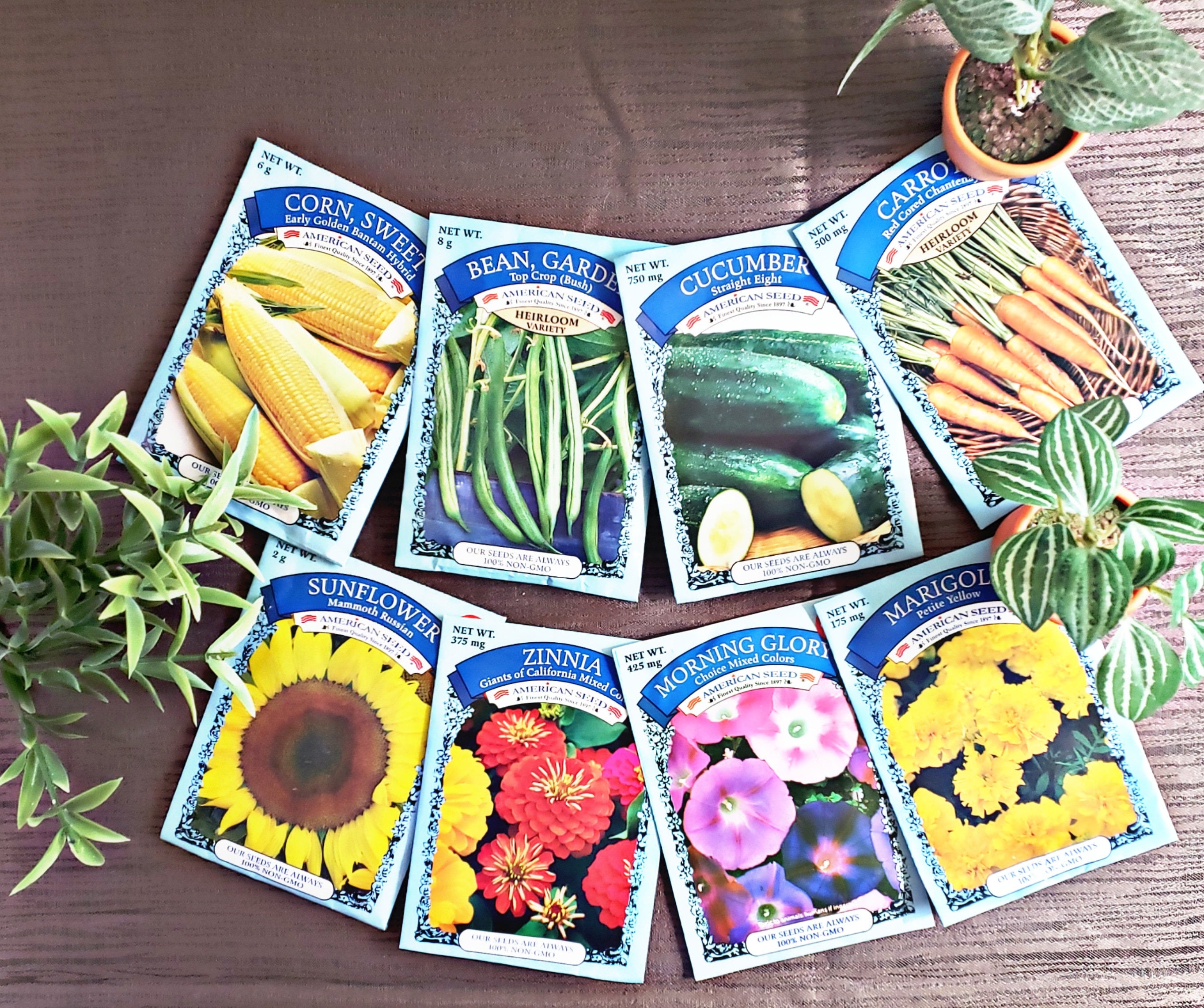 Gardening Gift Box Gardening Starter Kit Summer Gardening Etsy
