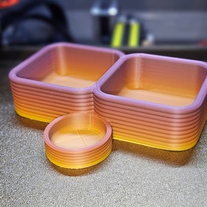 Gecko Food/Water/Calcium Dish w/Removeable Bug Lip
