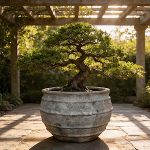 XL Moon Surface Fiberglass Planter - Garden Pot Rust Color (25-31 Inches