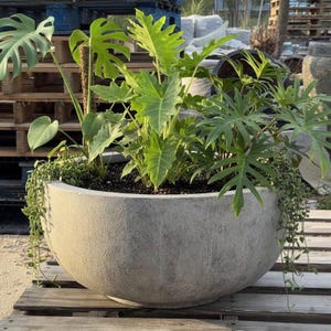 Old Stone Fiberglass Garden Planter: 22-31 Inch Farm Pond Bowl