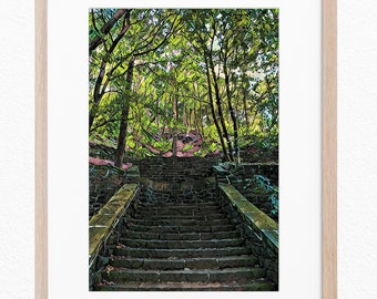 Rivington Lancashire Steps Woodland Forest Trees Countryside Walk Photography Filtered Print / Wall Art / Interior 12x8 inches PRINT ONLY