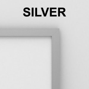 May include: A silver picture frame with a white mat. The word "SILVER" is printed in black at the top of the image.