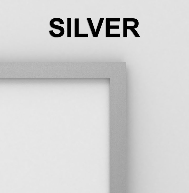 May include: A silver picture frame with a white mat. The word "SILVER" is printed in black at the top of the image.