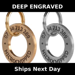 Aangepast huisdier-ID-kaartje – diep gegraveerd rond messing- en roestvrijstalen identiteitsbewijs voor honden en katten