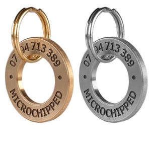 Custom Pet ID Tag – Deep Engraved Round Brass & Stainless Steel ID for Dogs and Cats