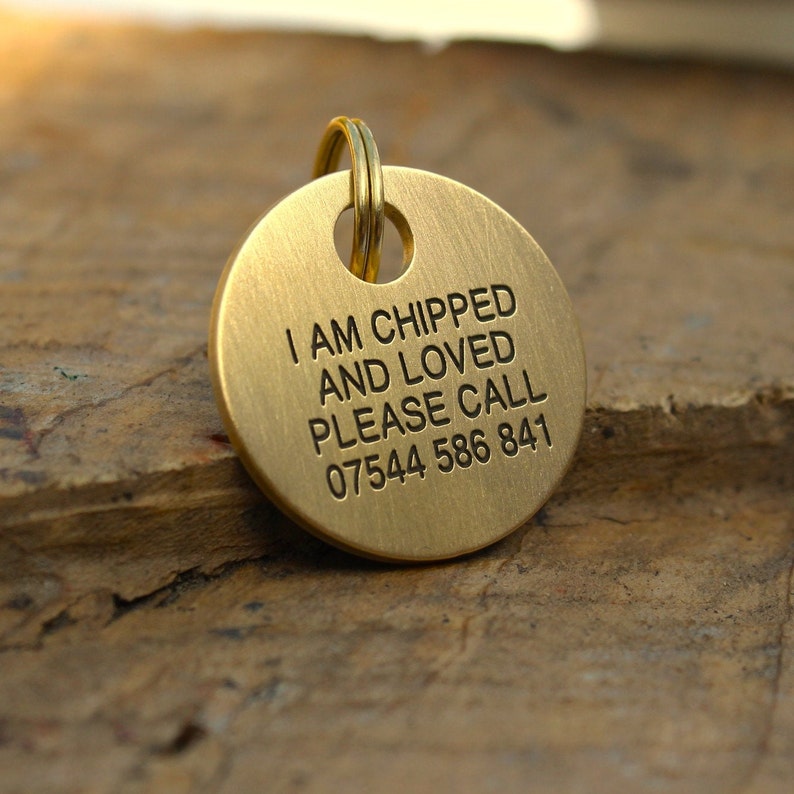 Round Solid Brass, Small or Large, Deep Engraved, Custom Pet ID Tag, Dog Tag,Cat Tag, Puppy ID Tag, Personalised Pet Tag image 2