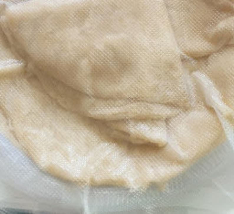 Roti / Guyanese Roti / Indian Oil Roti / West Indian Roti / Roti Skin ...