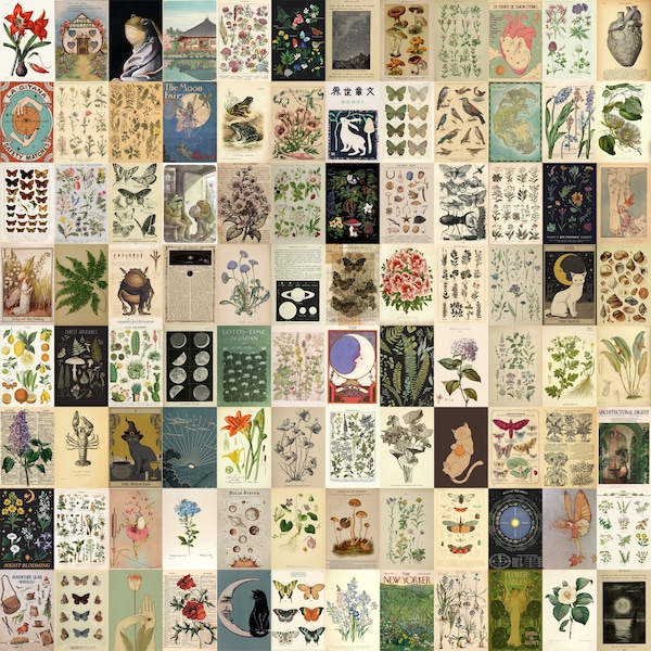 Cottagecore Ästhetische Raumdekoration, Vintage Botanische Drucke, Vintage Ästhetische Wandcollage-Kit, Vintage Raumdekoration, 100 JPGs Digitaldrucke