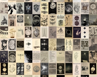 Puede incluir: Un collage de grabados artísticos de estilo vintage con cuerpos celestes, ilustraciones anatómicas, dibujos botánicos y referencias literarias. Los grabados son en tonos beige, negro y blanco, creando una estética cohesiva. Algunos grabados incluyen texto, como "MOON" y "PICASSO".