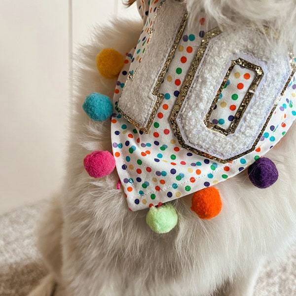 Birthday Dog Bandana Etsy