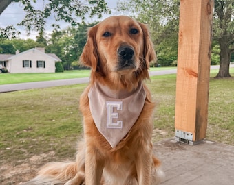 Neutral Initial Bandana | Dog Bandana