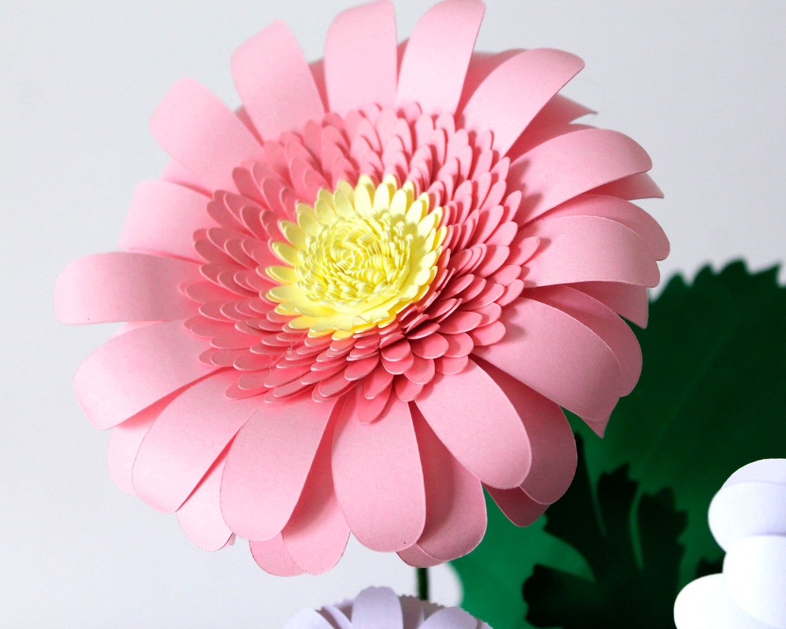 Download 3D Daisy Svg Bundle Paper Flower templates: Gerbera Daisy ...
