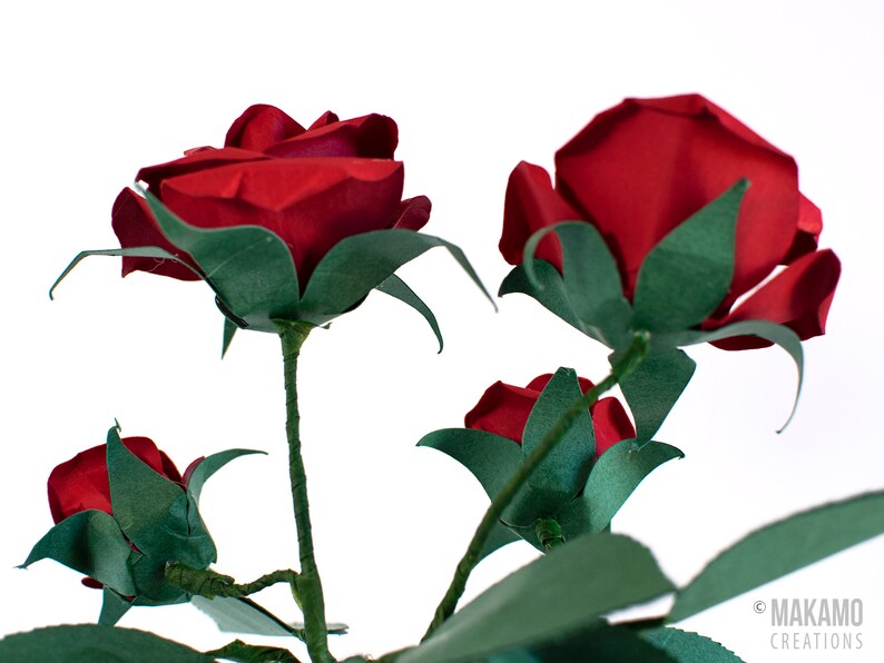 3D Paper Rose Svg Rose Template for Cricut Paper Flower Etsy