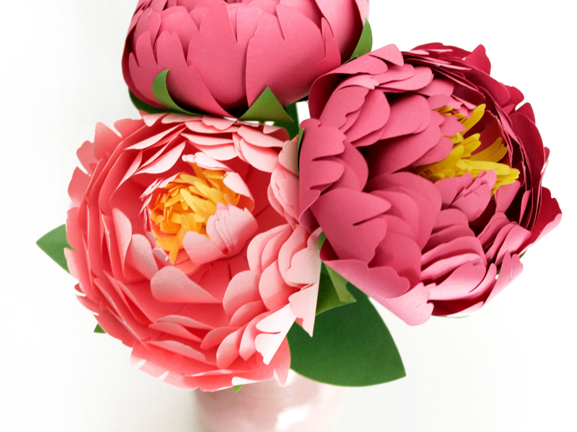 Paper Peony SVG Digital Cut Files 3D Paper Flower Template - Etsy Denmark